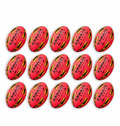 Ram Rugby Gripper 2.0 Pro Trainer Pallone Neon Rosa Bundle 15 Palloni 1 Borsa